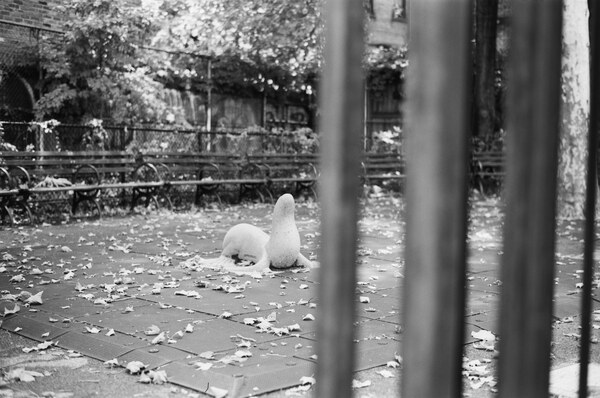 Seal sculpture in a park