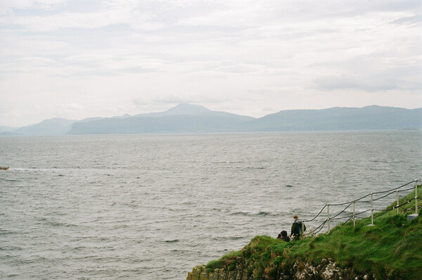 Green grass in front of ocean
