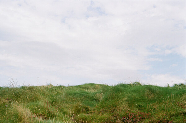 Grass and sky