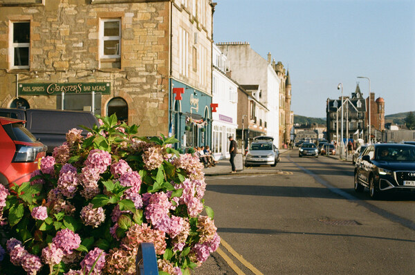 Flowers on street