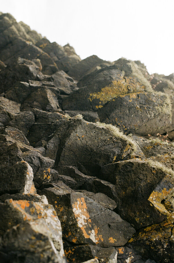 Rocks with moss