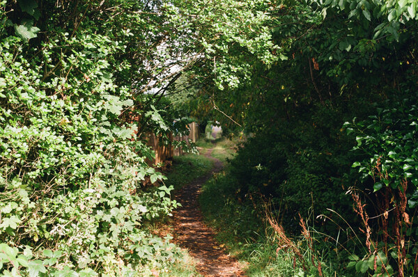 Walkway