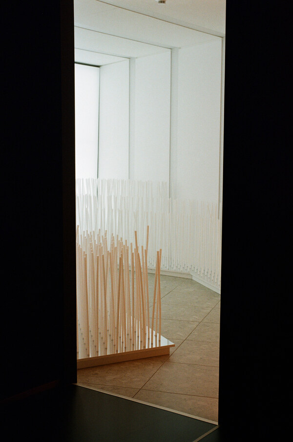 White sticks